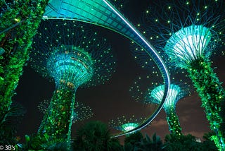 ESGs and socially responsible investing — everything you need to know