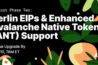 Apricot Phase Two: Berlin EIPs & Enhanced Avalanche Native Token (ANT) Support