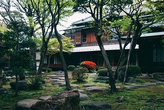 Transforming Your Outdoor Space: Budget-Friendly Landscaping Ideas
