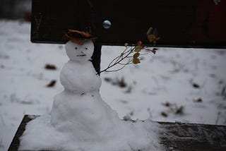 I Made Snowmen with My Children