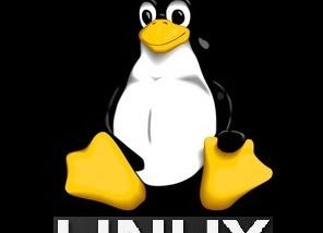 *How To Read Ram in Linux*