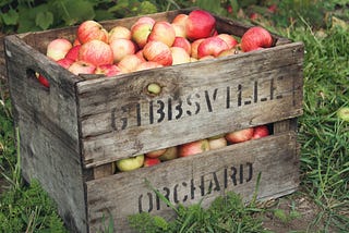 Apple Container