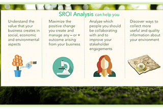 SROI, Holistic method of assessing return in investment