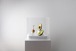 The Museum of Endangered Foods