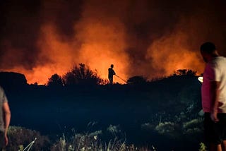 How record-breaking extreme weather is killing millions of farm animals — and driving up food…