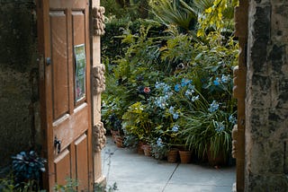 Open wood door that opens inward to the left with plants surrounding the lower left corner. The wood is a medium brown stain and opens to a wall of lush green plants and stone path.