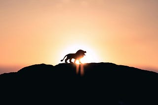 Lions Lead the Wild, Not the World