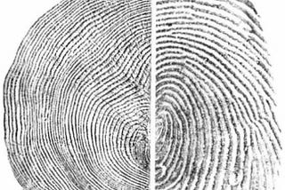 Tree Rings and Fingerprints