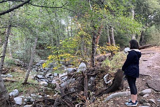 Reflections: Two Months in L.A., Heading Back Home, and Living the Best Year of My Life