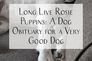 Long Live Rosie Puppins: A Dog Obituary for a Very Good Dog — Marisa Mohi | Writer