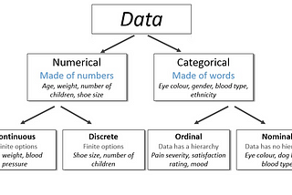 Plenty of Data Types in the Sea