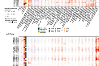 The Spatial Revolution: Going Beyond The Microscope To Improve Patient Outcomes