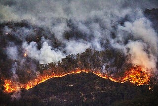 The Terrifying and Seemingly Endless Australian Bush fires