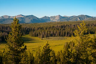 About the Montana Coalition for Public Safety