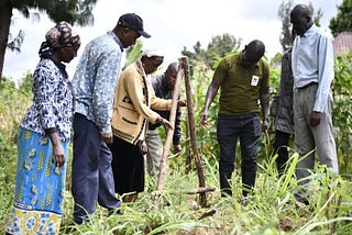 Loitokitok farmers go green with permaculture | Forest andscape restoration