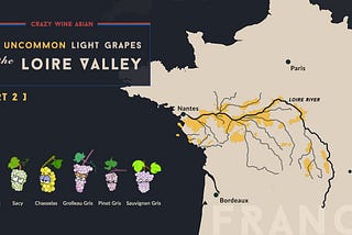 Loire Grapes Part 2: The Uncommon Pale Varieties (+Infographic)— Crazy Wine Asian