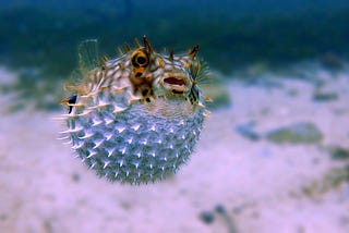 Some Random Reflections At the End of July