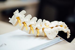 The Science of Spinal Health: Understanding the Role of Chiropractic Medicine