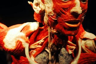 Understanding the Human Body