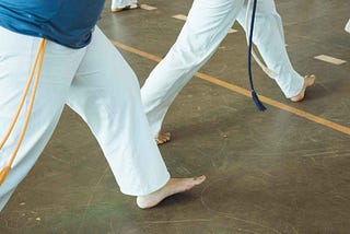 The art of choosing a Martial Art