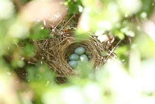 Mother and Father Next Door