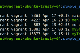 What happens when you type ls -l*.c in the shell?