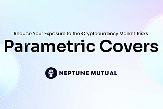 Neptune Mutual — Reducing your exposure to crypto market risks