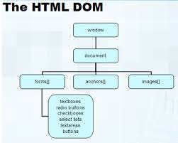 What is Window, Document and Screen in Java Script ?