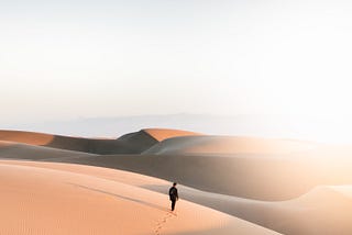 15 — The Wide Desert