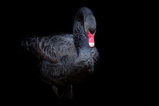 How COVID-19 reminds us about the importance of Black Swan events in IT