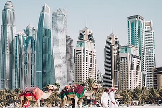 Top 3 Things To Do in Dubai