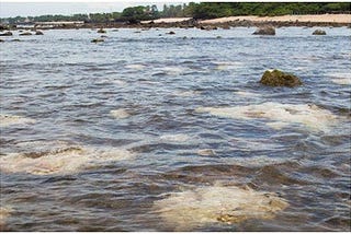 ¡Ojo con los cheles en el mar!