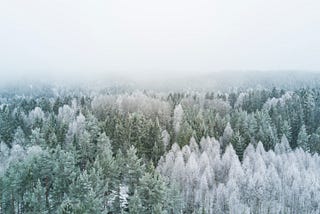 What can you learn from seasons — Lessons form Winter