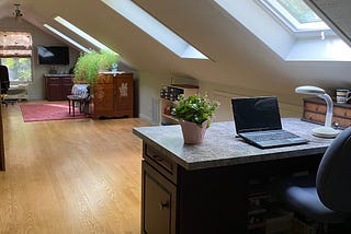 Attic with four large skylights in the slanted roof, wood floors, desk area and large open space