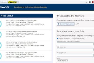 Hands-on- Decentralized Identity(SSI)-Setting up Hyperledger Indy Node and Hyperledger-Aries Agent