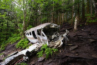 The debris of an airplane crash in the forest.