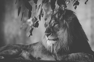 King’s Disease