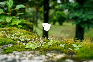 The Origin of Life: Clearing Misunderstandings Through Systematic Exploration