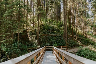 Programmers — Don’t follow the Happy Path