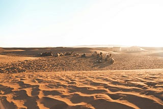 Zagora:La porte du désert marocain.