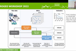 Present and future of data cubes: an European EO perspective