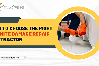 How to Choose the Right Termite Damage Repair Contractor