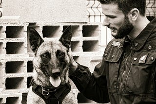 Celebrating National K9 Veterans Day [K9 Organizations to Support 2024]