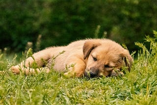 Don’t Work Too Hard