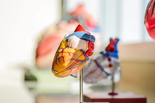 Predicting Heart DiseaseUsing Machine Learning