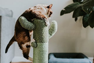 Character Copy Kata ( Test Driven Development )