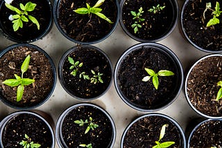 Building Scalable and Maintainable Web Applications: Proven Strategies