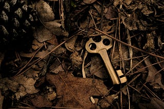 A key amongst some leaves.