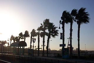 Dark Winds, Omens & Reality: Testing Joan Didion’s Theories on the Santa Ana Winds