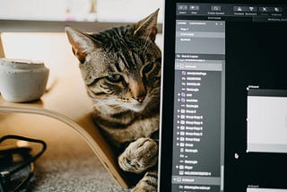 Cats in the Digital Age: Are Smartphones & Tablets Good for Felines?